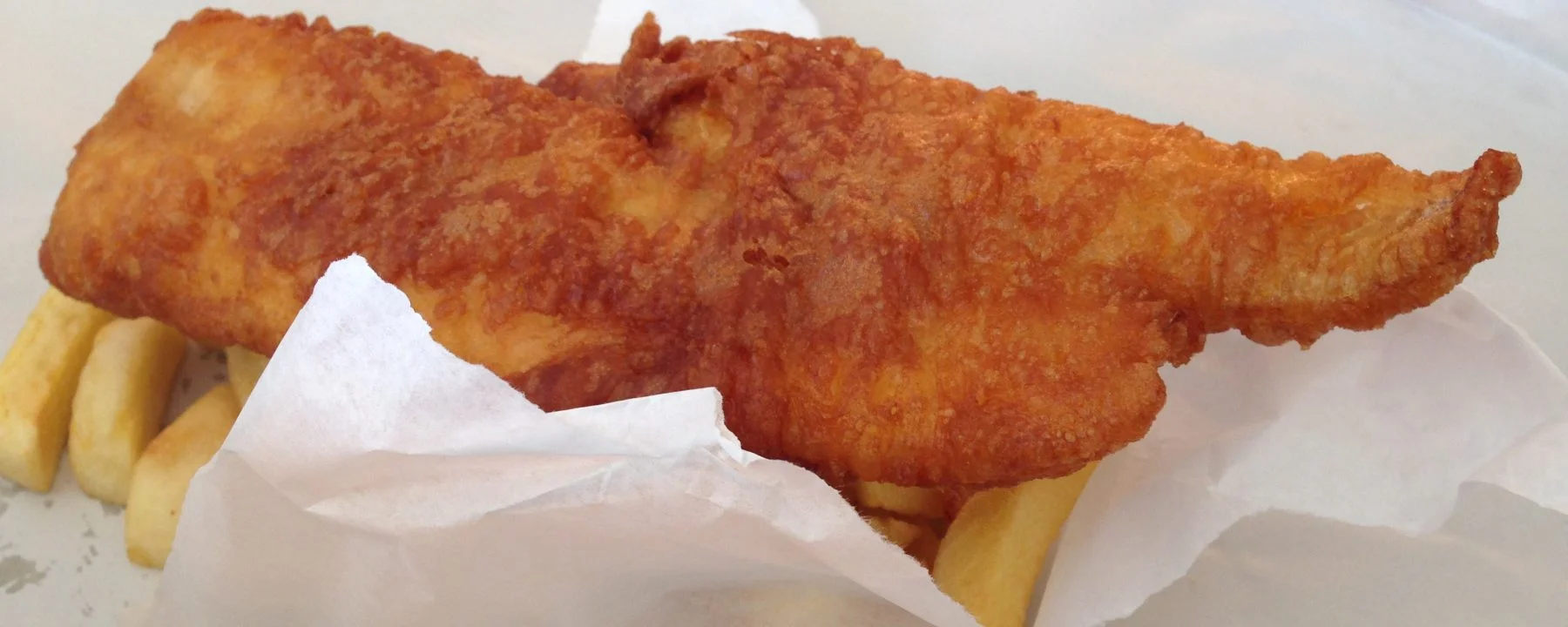 cropped-fishenv.jpg